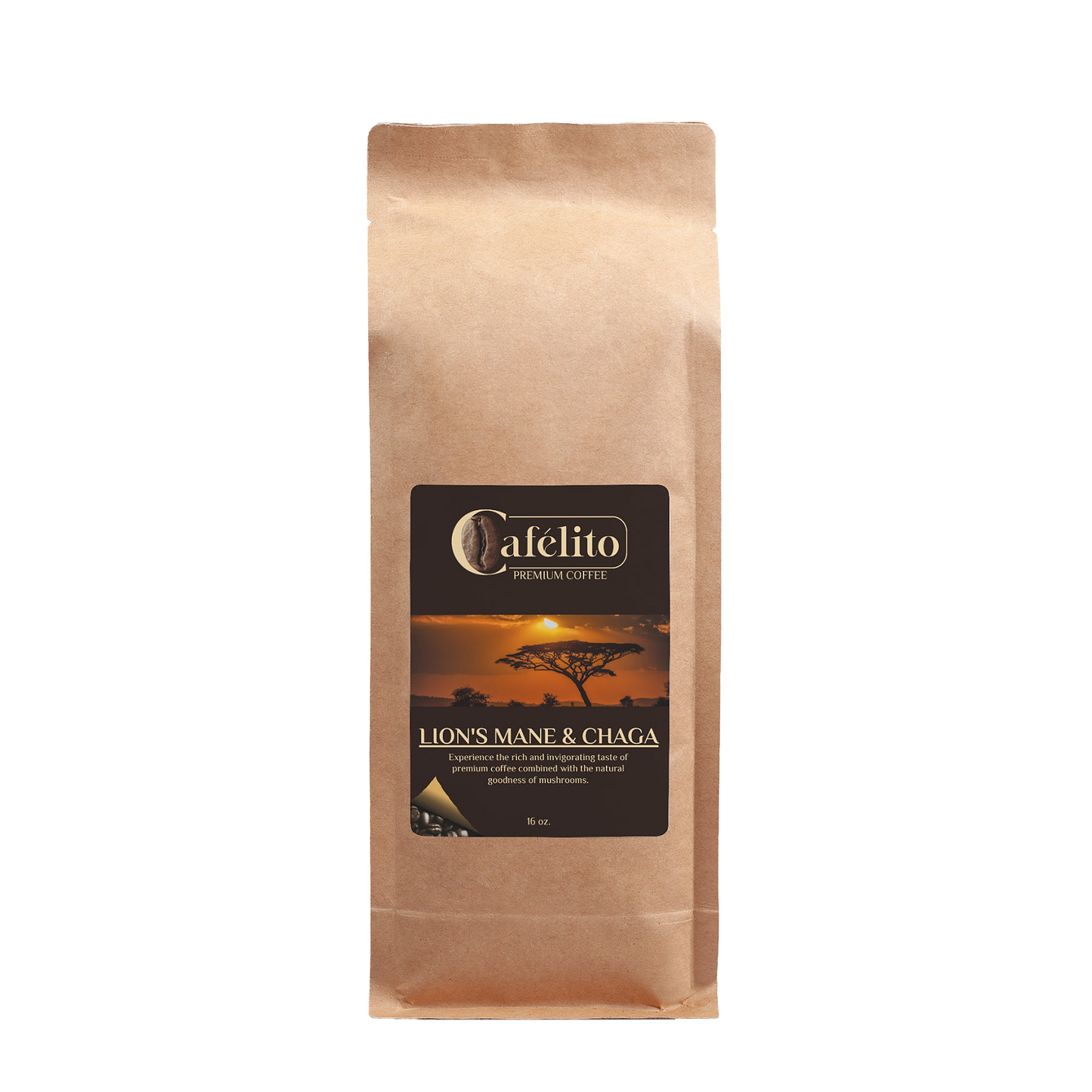 Lion’s Mane & Chaga